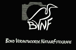bvnf00.jpg (7960 Byte)