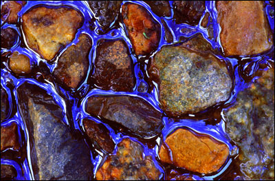 Wassermann-1.jpg (59907 Byte)