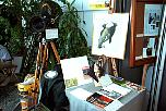P4250054q05-08.jpg
