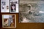 DSCF0007.jpg